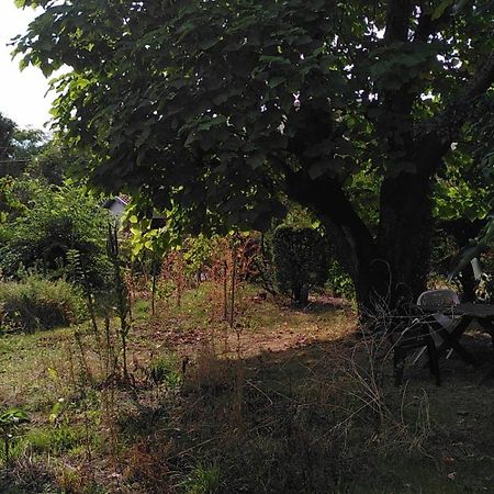 Villa Lulu Mérignac Eksteriør bilde