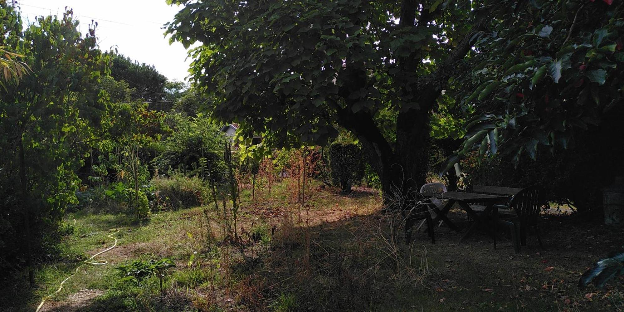 Villa Lulu Mérignac Eksteriør bilde
